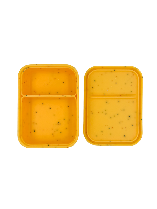 Flexi Bento Mate 2