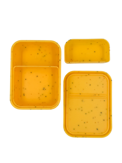 Flexi Bento Mate 2