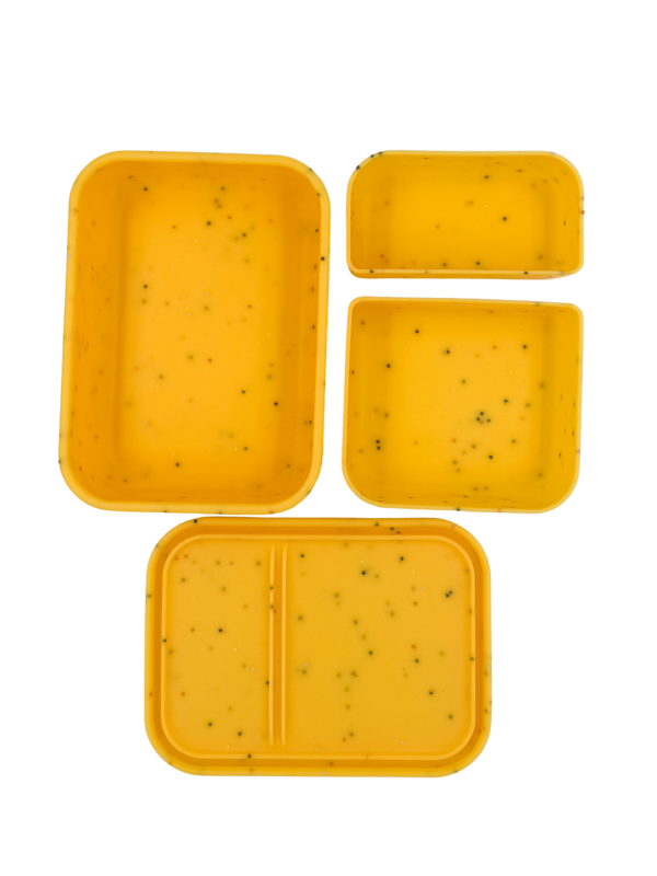 Flexi Bento Mate 2